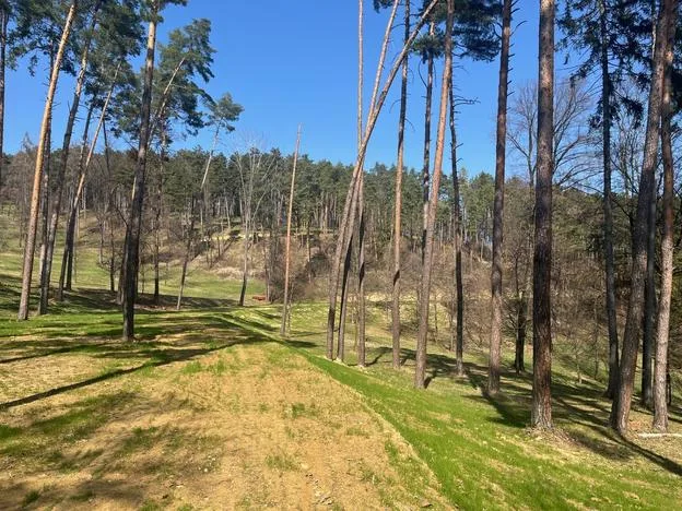Cesta z pohľadu nad kúpaliskom Čajka (zdroj: Slavomír Pavle)