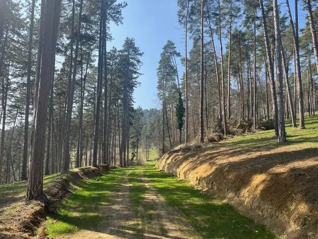 Cesta zo strany nad Bažantnicou (zdroj: Slavomír Pavle)