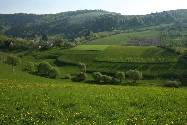 Tradičná krajina Hriňovej udržiavaná hospodárením (zdroj: Táňa Šolomeková)